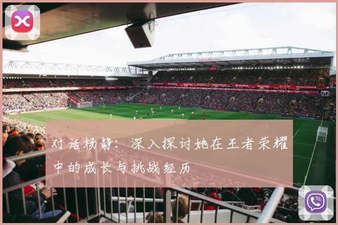 对话杨静：深入探讨她在王者荣耀中的成长与挑战经历